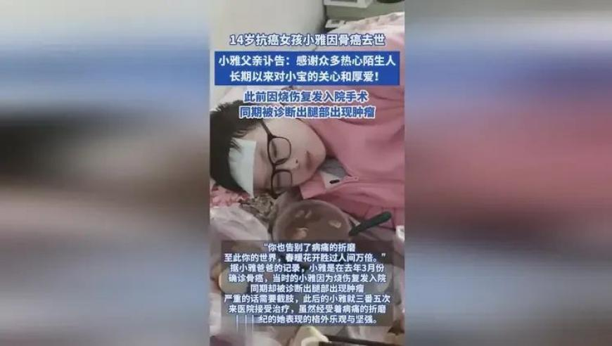 管家婆开奖号码,辛芷蕾穿了95年的古董高定,重点解答解释落实_轻量版V5.15